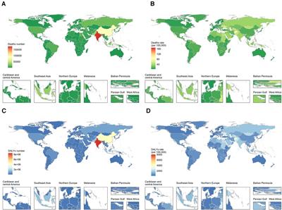 Global burden, trends, and inequalities of ischemic heart disease among young adults from 1990 to 2019: a population-based study